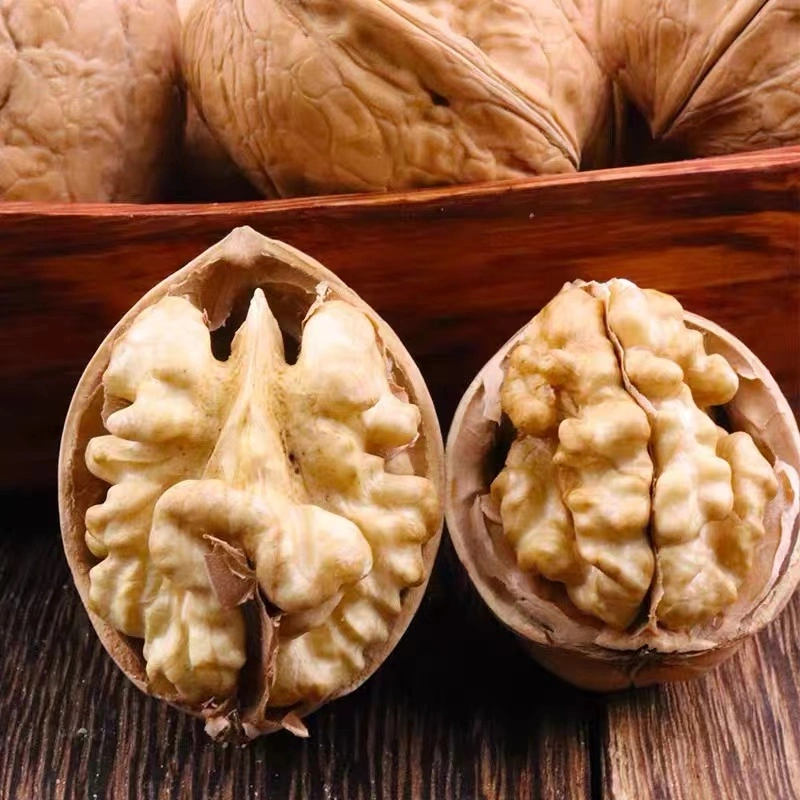 سعر الجملة الرخيصة عالية الجودة walnuts Chandler Inshel walnuts