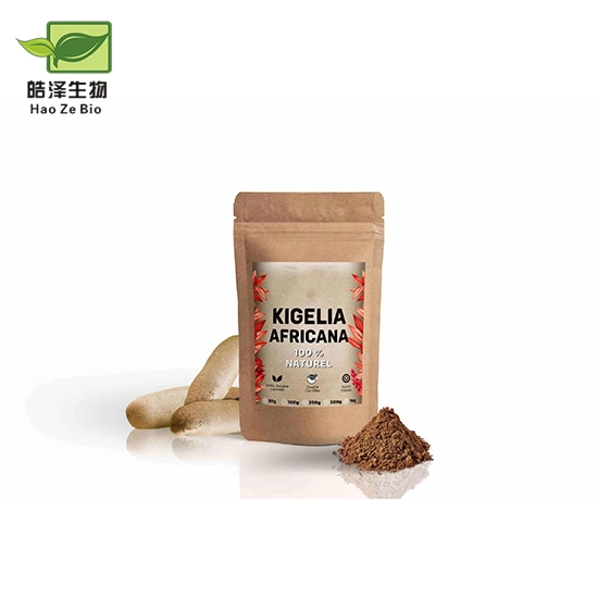 Bulk Sausage Tree Kigelia African Extract Factory Supply Kigelia Africana Powder