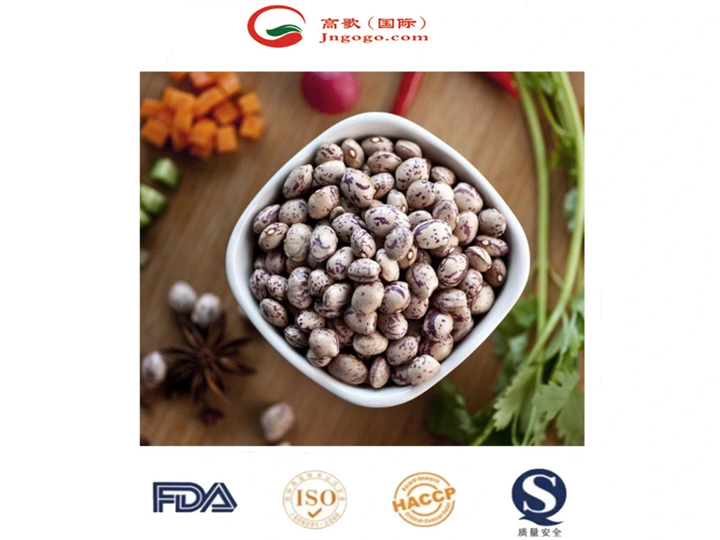 High quality/High cost performance Xinjiang Round Shape Lskb Beans