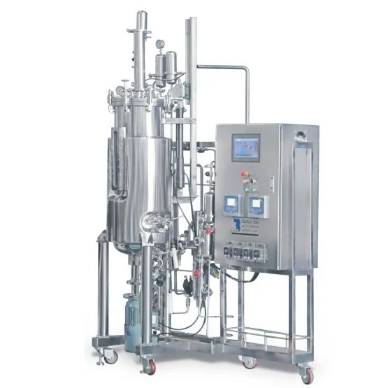 Konenförmiger Dauerfluss-Bioreaktor aus Edelstahl mit langem Zyklus, 1000L Fermenter Enzyme Produktion Automatische Chemische Dosierung System