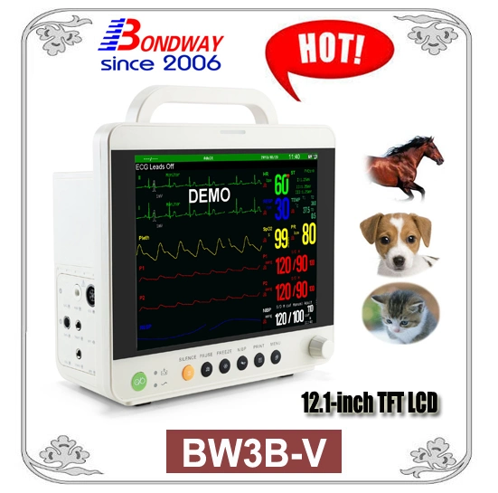 12.1 Inch TFT Large Screen Veterinary Patient Monitor, Veterinary Clinic Instrument, Bw3b-V