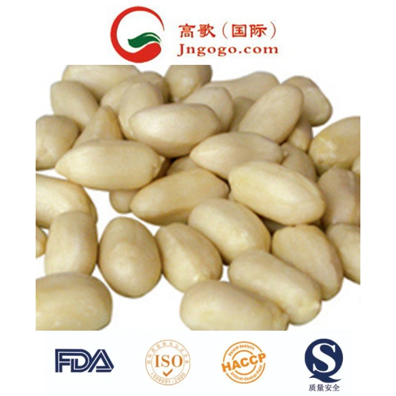 New Crop Top Quality Peanut with Skin Peanut in Shell