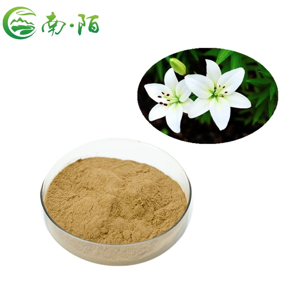 OEM Factory Customize Wholesale Organic Quality White Lily Root Extract Supplement