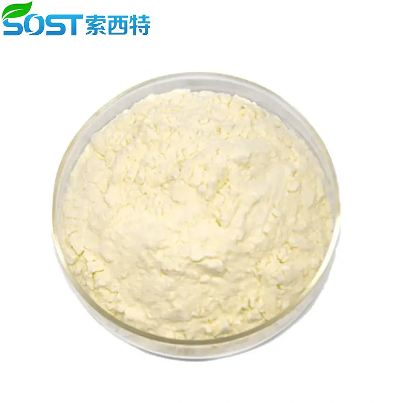 High Quality Bulk Whey Protein Isolate Powder