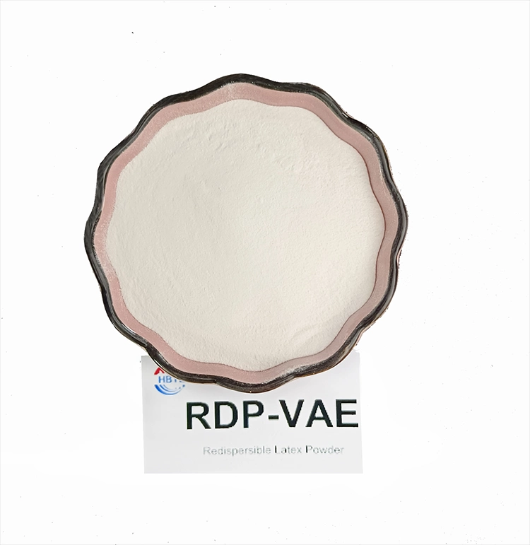 Rdp Cement Powder Vae Glue Cement Additive Supplied by Tangzhi