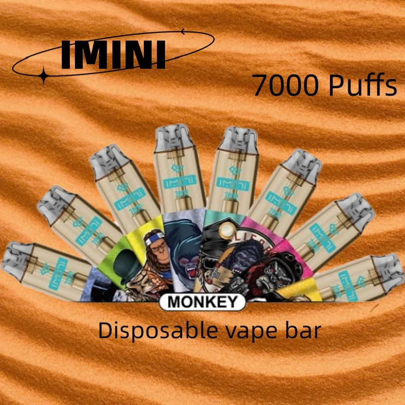 علبة للاستعمال مرة واحدة من نوع E-Cigarette Light Vape 7000 Puts 7K for Imini قلم Vابيه 6000 7000 8000 10000 21000 E Cigarette إلكتروني القرد السجائر