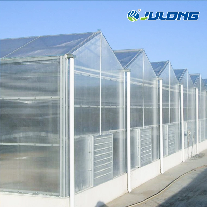 Full Automatic Control System Agriculture Building Commercial Farming Polycarbonate Greenhouse with Climate Control System for Tomato Greenhouse