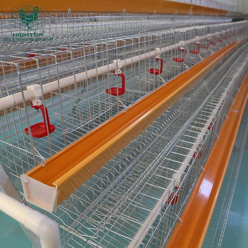 Zâmbia Egg Chicken Farm UM tipo 3 Tier Layer aves Gaiola para 1000 pássaro