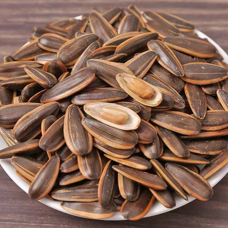 500g OEM Brand Coconut Flavor Roasted Sunflower Seeds Satly