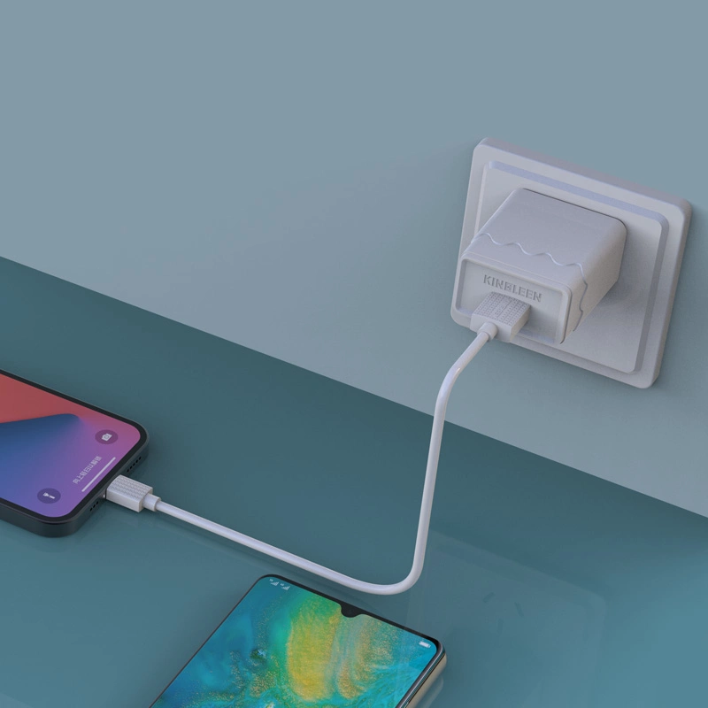 2-poliger US-Stecker Schnellladefunktion USB-Ladegerät für Mobiltelefone vollständig Mit Micro-USB-Kabel