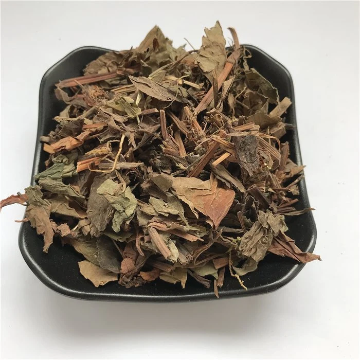 Yu Xing Cao Medicina tradicional herbal Chinesa seca Houttuyniae Herba