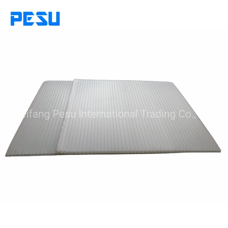 Durable PP Corrugated Sheet for Building Construction