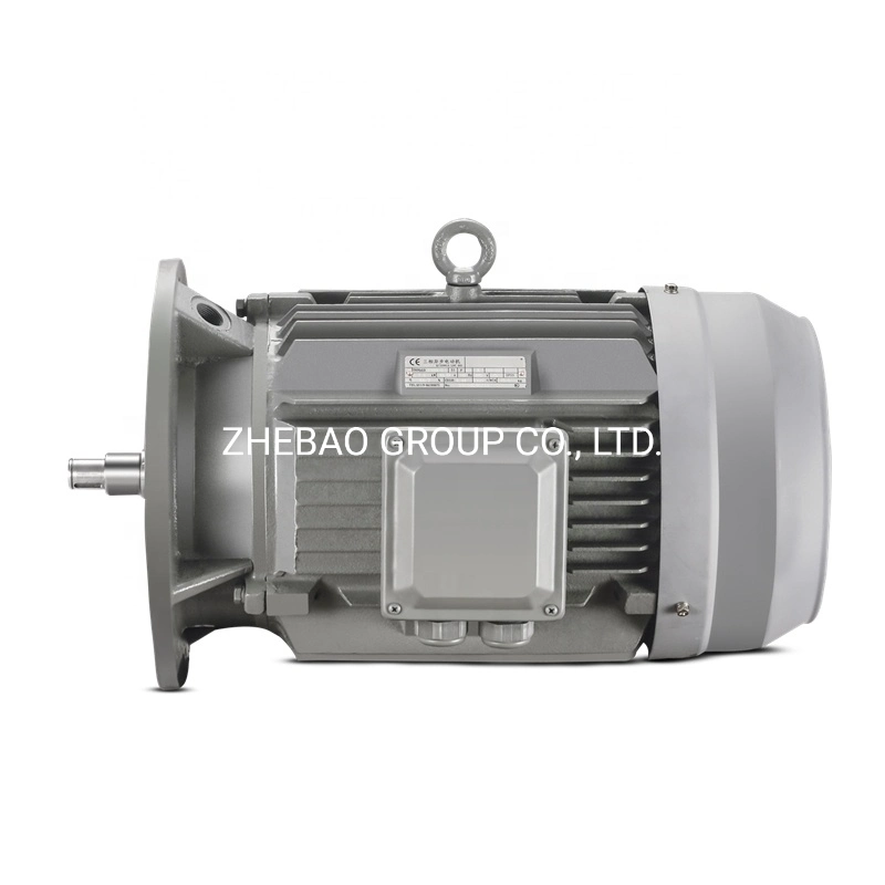 AC Induction Electric Motor IEC European Standard