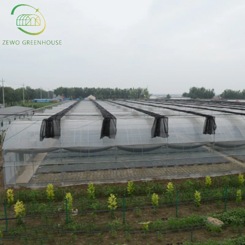 Customized Agricultural Multi-Span Plastic PE Film Greenhouse with Hydroponic System for Vegetables/ Flowers