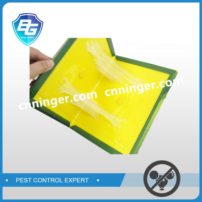 Powerful Insect Killer Rat Mouse Killer Glue Board Trap