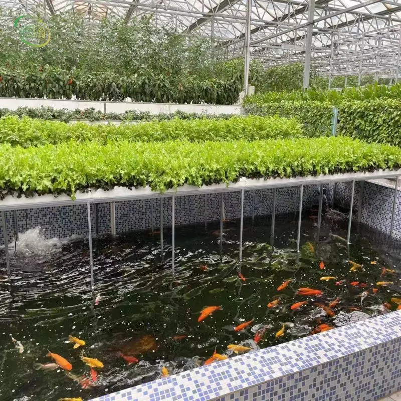 Fabrik Preis Hohe Qualität Hydroponics Aquaponics System Vertikal Nft Wächst Salat Der Farm