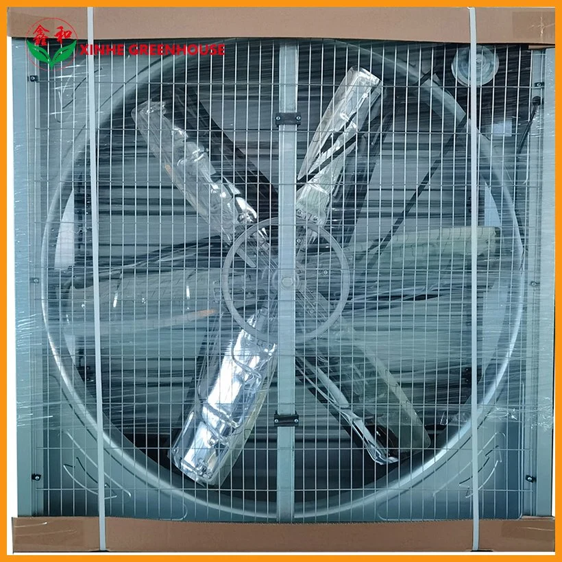 Galvanized Sheet/Stainless Steel Axial Flow Fan Aluminium Sunshine House Garden Greenhouse Equipment