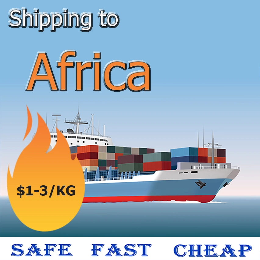 Ocean Shipping Fowarding Agent From China to Africa/Algeria