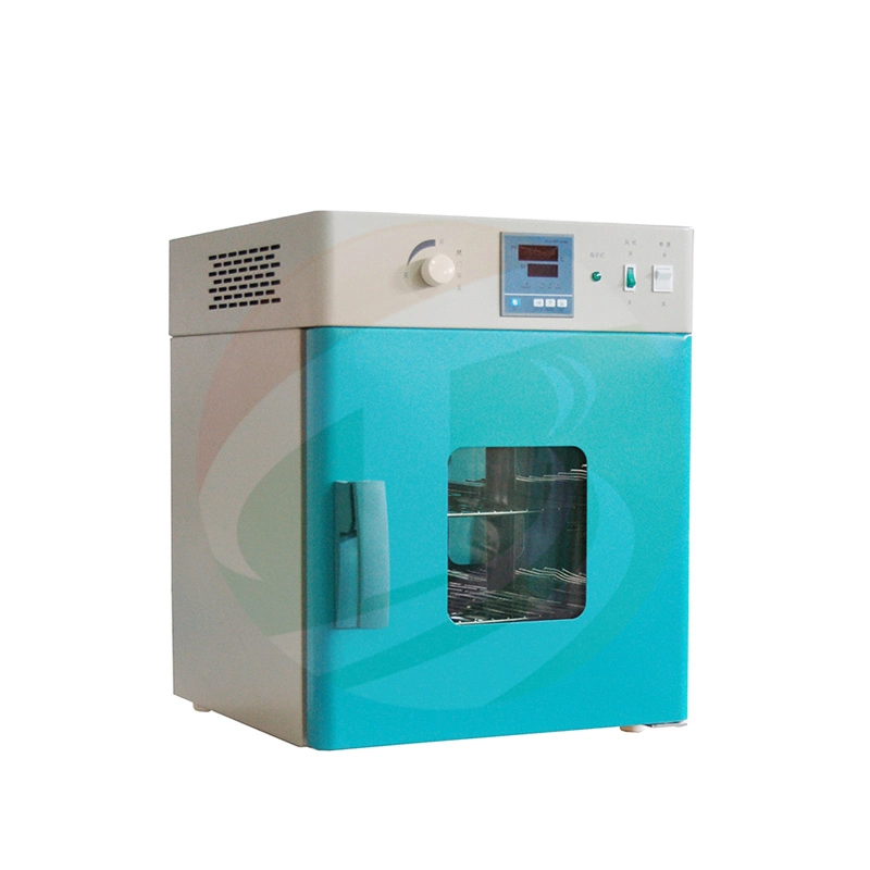 Lab Small Blast Air Drying Oven
