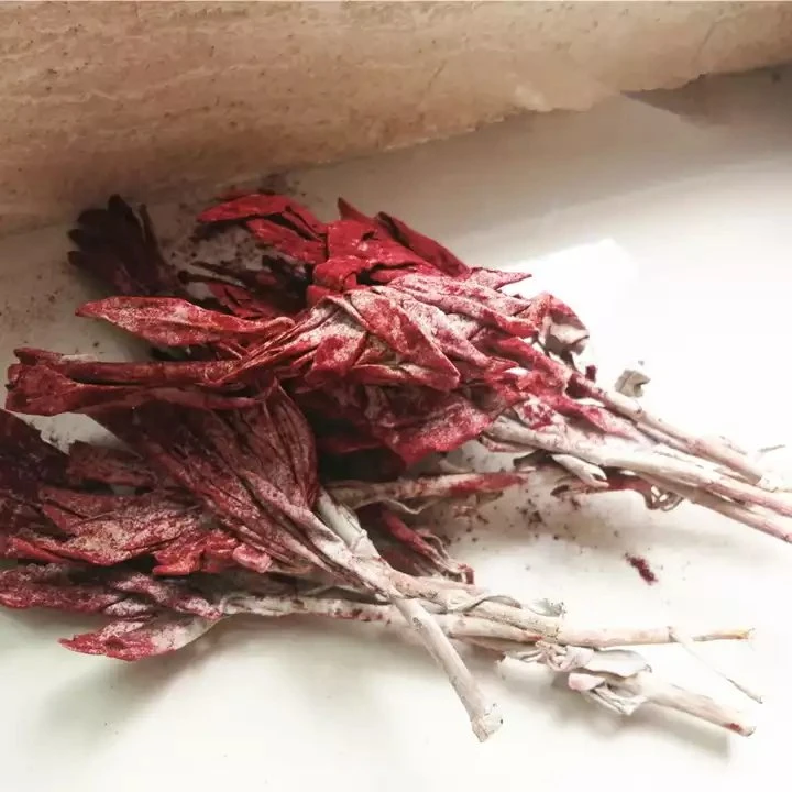 Bulk organic dragon blood sage red smudge stick