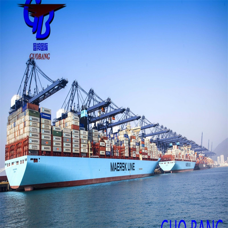 Sea Freight From China to Dubai with The Cheapest Offer