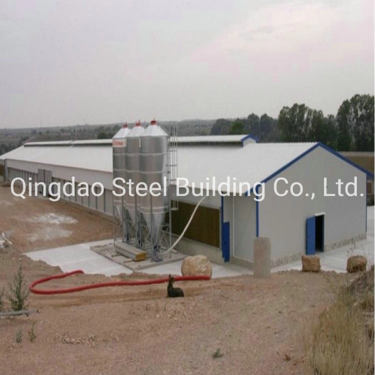 Prefab Light Steel Stucture Chicken Poultry House Shed Building/Steel Structure Poultry Farm House