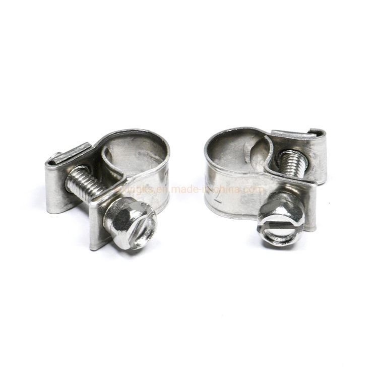 Stainless Steel 304 6-8 7-9 8-10 Mini Fuel Line Pipe Hose Clamp