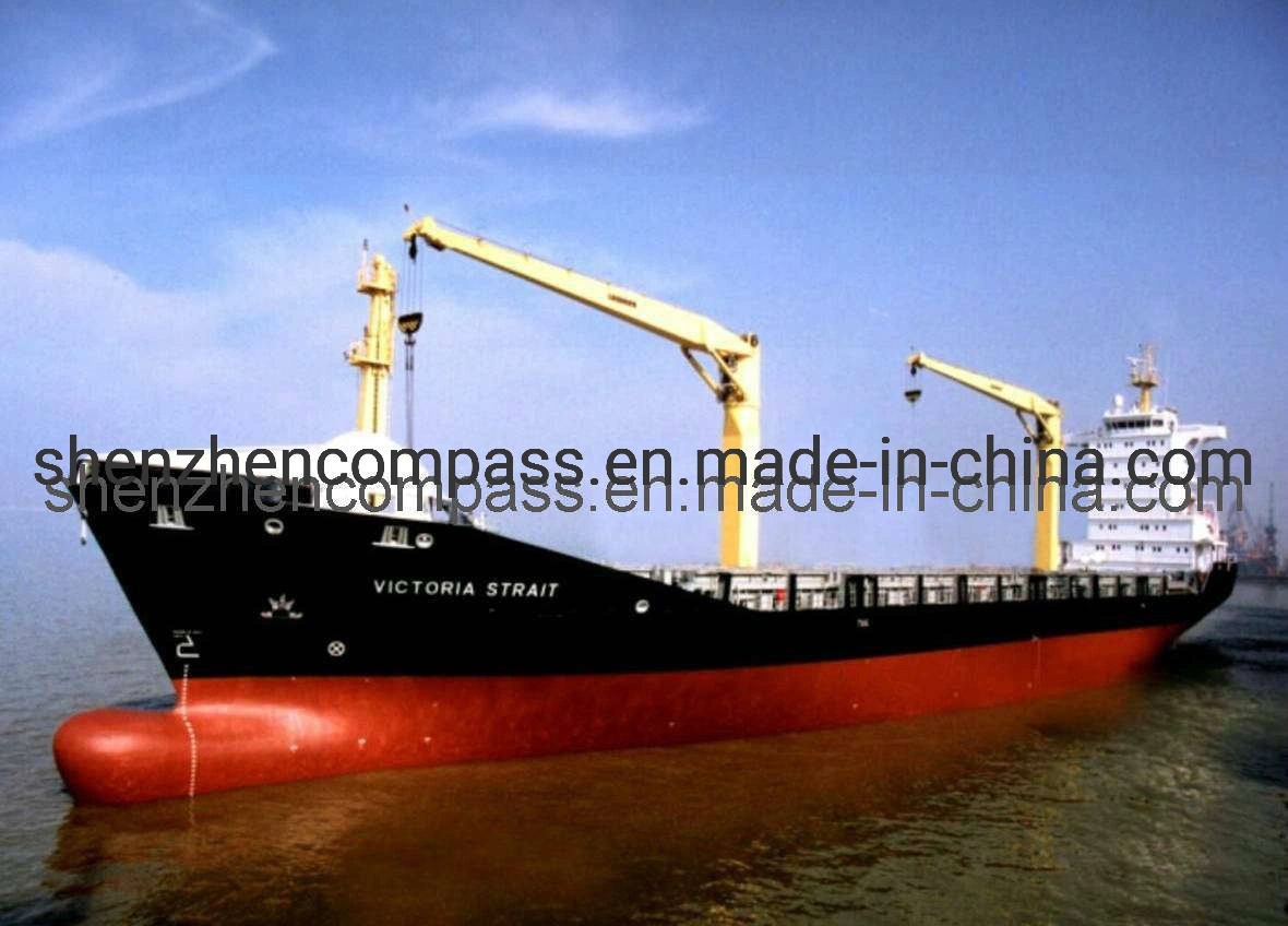 Agente de expedição/Frete Marítimo/Frete aéreo da China para a Itália, Frete Marítimo da China Shanghai/Ningbo/Shenzhen/Yiwu para Genova, La Spezia, Veneza, Nápoles, Palermo