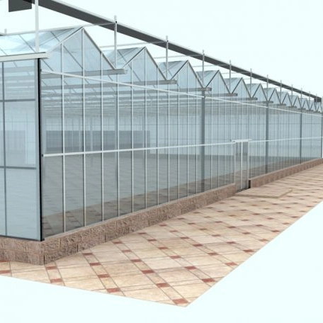 Verre de grande portée serre agricole Multi-span Maison verte pour les légumes