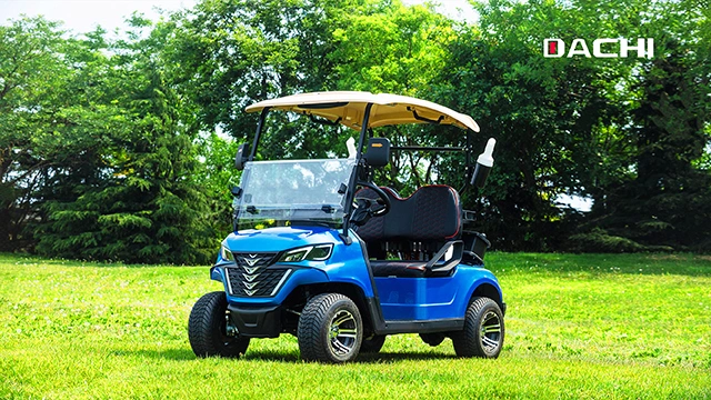 Custom 2+2 Seats Electric Hunting Golf Cart with High Popularity and Professional Design