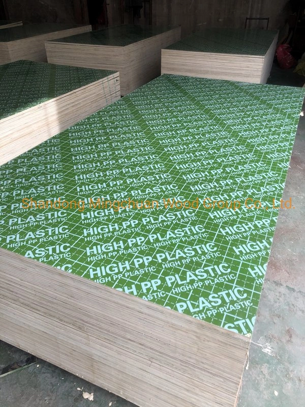 18mm Green Plastic Film Faced Plywood PVC Board Hardwood PP Plywood