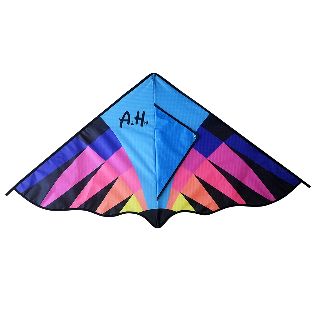 Heißer Verkauf Kinder und Erwachsene Big Kite leicht zu fliegen Single Line Delta Kite Outdoor Lustige Fliegende Sport Spielzeug Geschenk Surfen Sport China Kite