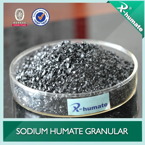 Water Conditioner 85%Min Granular Sodium Humate