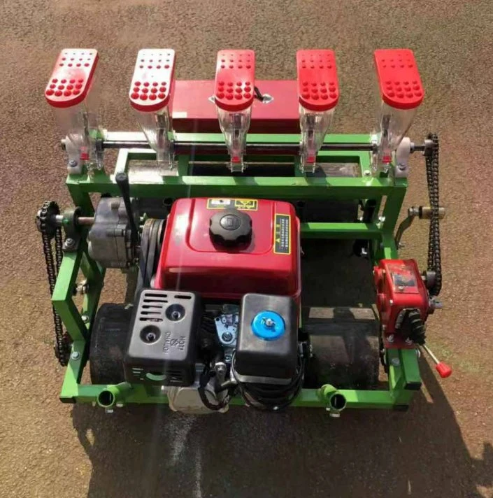 Landmaschinen Obstpflanzer Seeder Hand Push Gemüsesieder