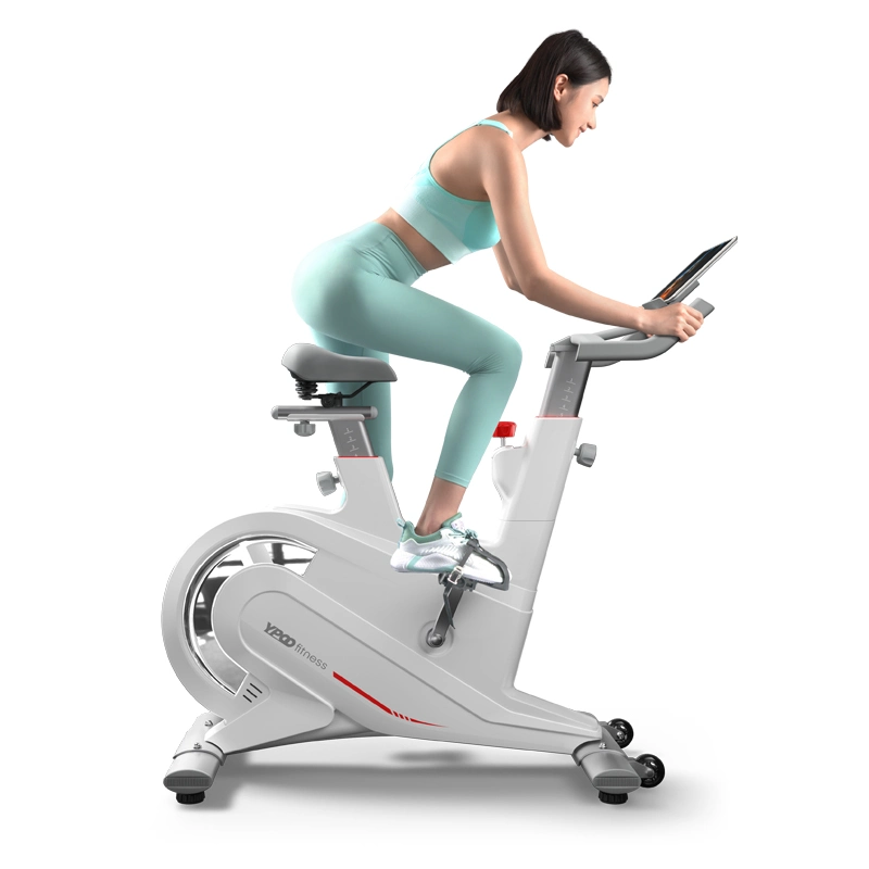 Ypoo Body Building Home Fitness Exercise Bike Spin Indoor Exercise Fit Bike Gym Sport Bike