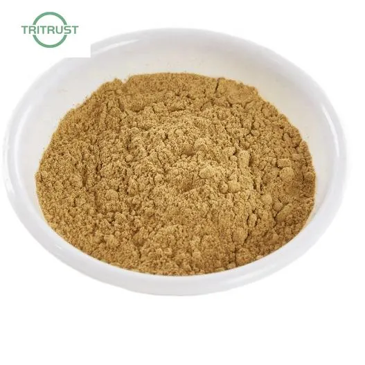 OEM Turkesterone Powder Muscle Building Ajuga Turkestanica Extract Powder 2% 10% Turkesterone Capsule CAS 41451-87-0