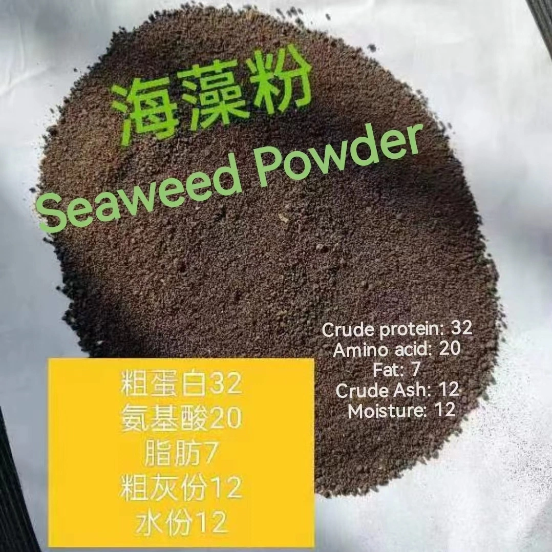 Factory Bulk Supply High quality/High cost performance Seaweed Powder for Fish Feed