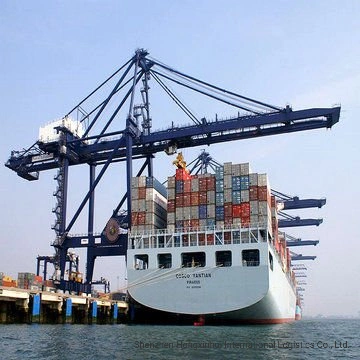 Sea Shipping LCL Freight Forwarder From China to Yokohama Japan Professional Fast Reliable Logistics Services