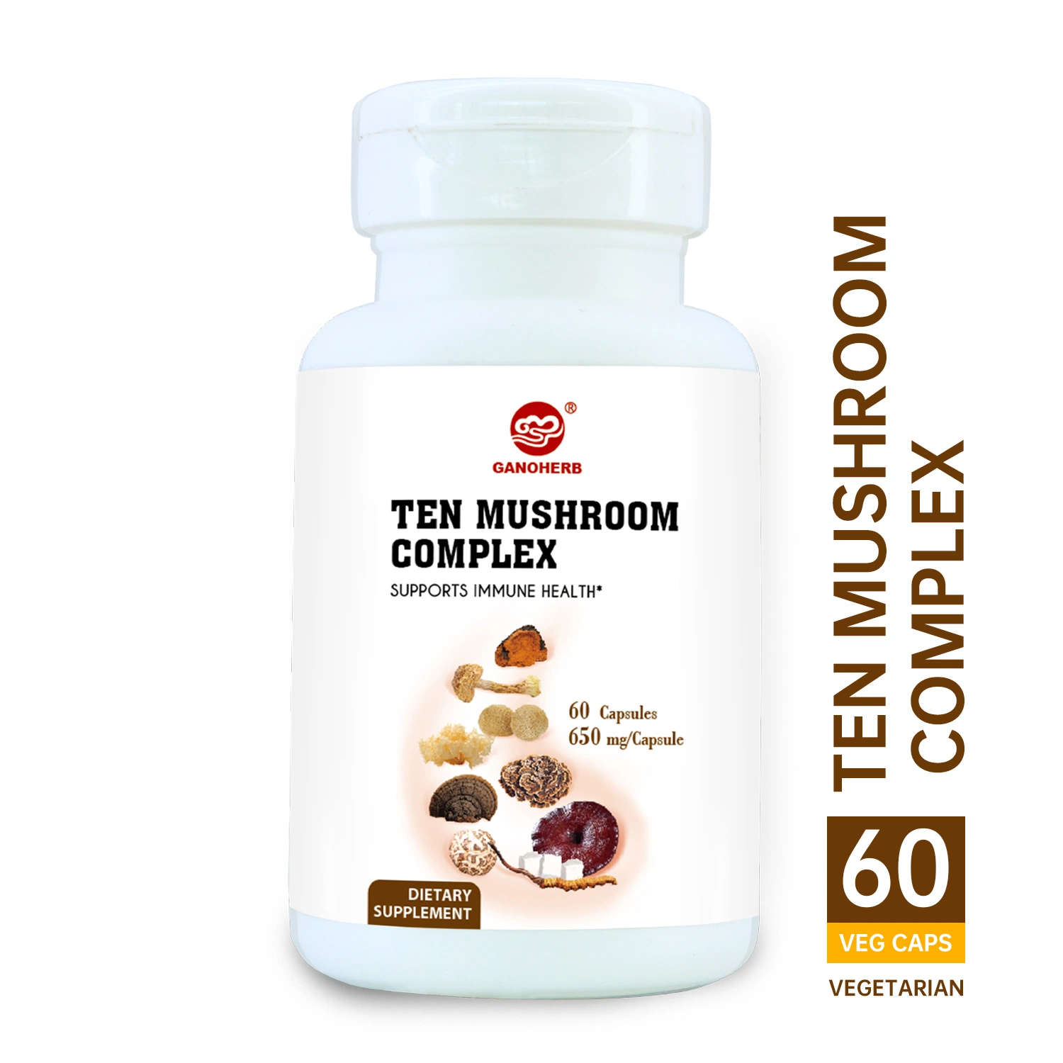 Dietary Supplement Reishi Cordyceps Capsule Ten Mushroom Capsules for Brain Health