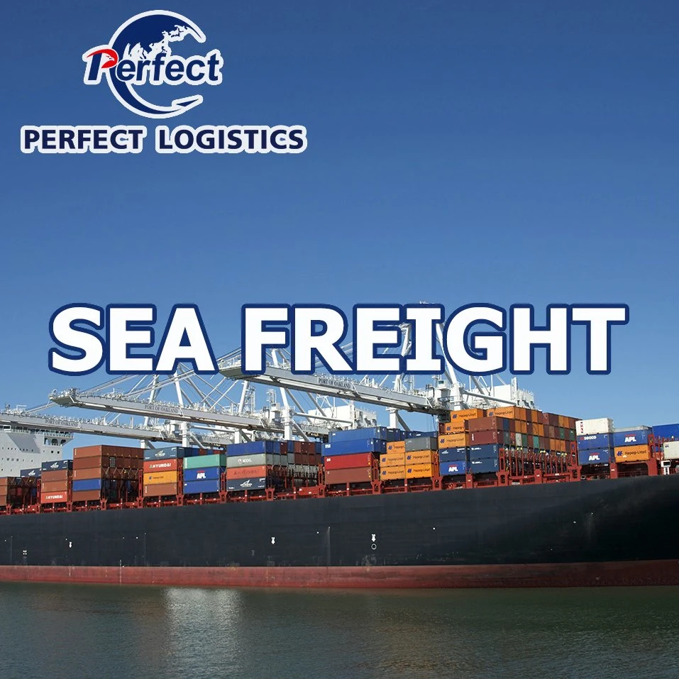 Ocean Shipping Fowarding Agent From China to Australia Ireland/UK