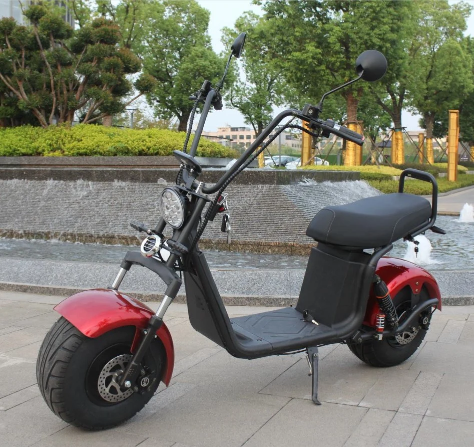 Popular 2 Wheel Fat Tire 2000W 60V CE Citycoco Electric Scooter