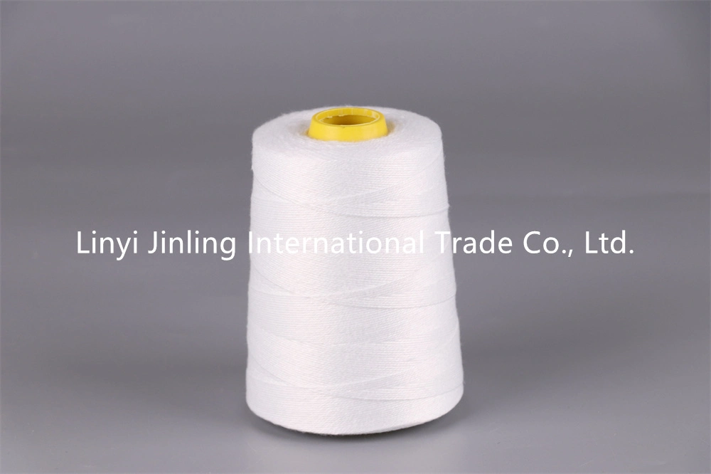 Recycled Polyester Spun Yarn for Socks/Polyester Yarn for Knitting and Weaving/Raw White and Different Colors