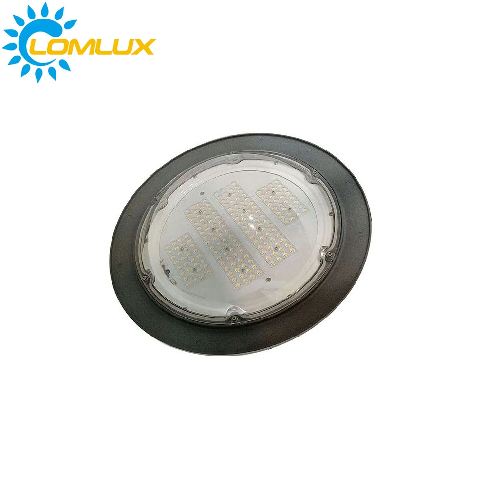 30W 40W 60W 90W Hot Sale Lámparas de jardín LED para Punto escénico precio de fábrica