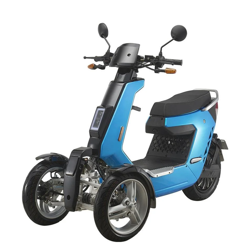 2000W 1000W 60V 72V 20Ah Big Fat Montaña de neumáticos off-road discapacitado viaje asistido Electric Scooter de tres ruedas triciclos