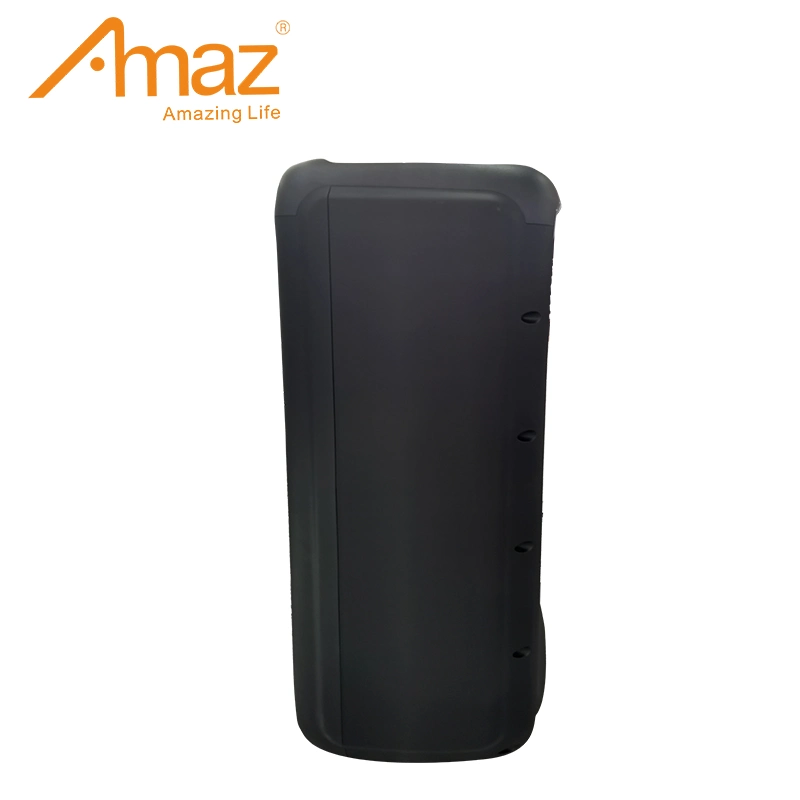 AMAZ Hot Sales Double boîtier audio 10 pouces Bluetooth portable Haut-parleur