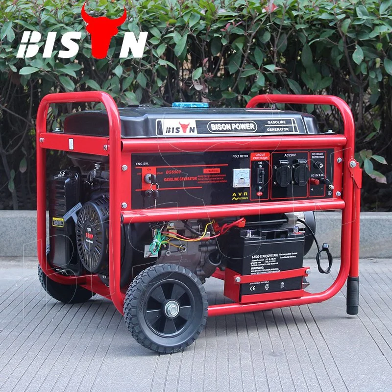 Bison (China) BS5500t (H) 4kw 4kVA 220V 50Hz 1 Year Warranty Small MOQ Fast Delivery Generator Gas