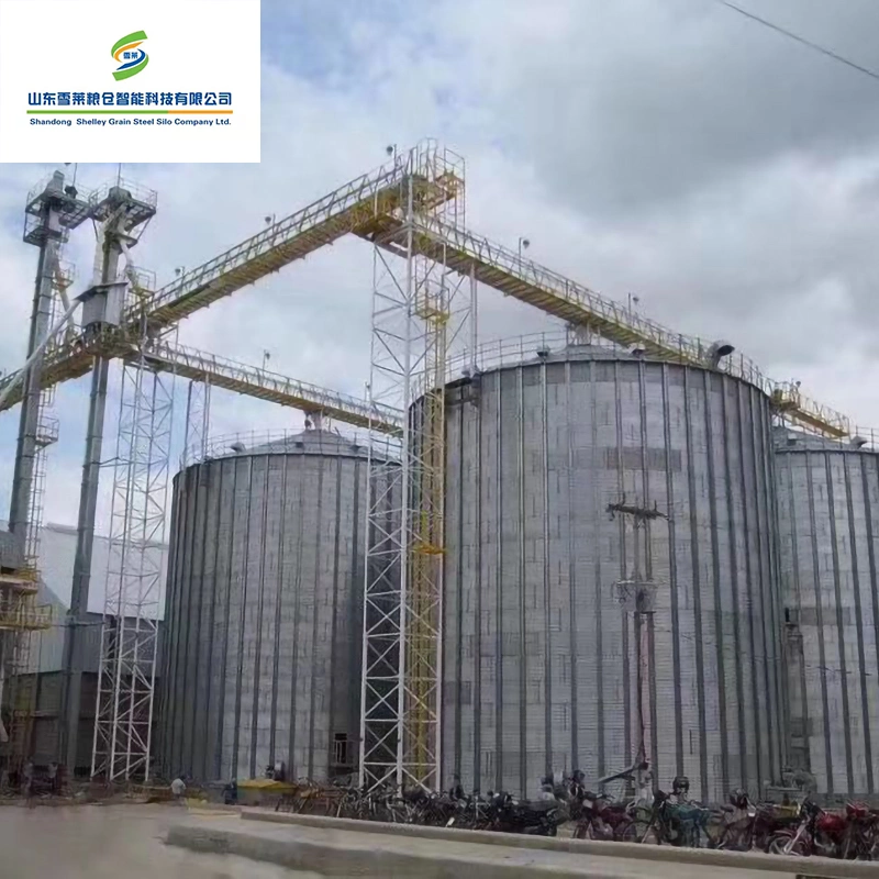 Granja de cerdos de aves de corral de alimentación utiliza almacenamiento molino de grano de acero de silo de fondo plano.