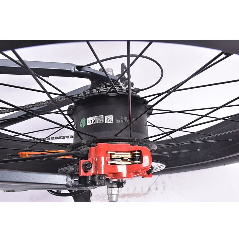 Full Suspention Fat Tire Wheel Battery Ebike with Hi Power 750W