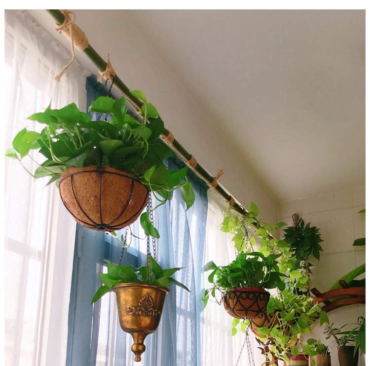 Factory Steel Wire Hanging Basket with Coconut Fibre