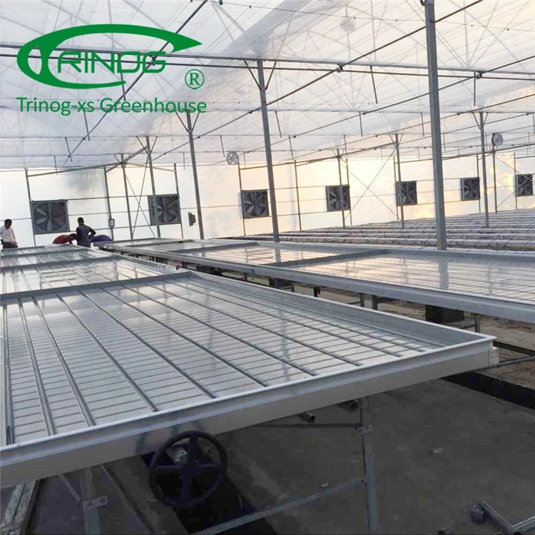 The Agricultural Commercial Plastic Film High Tunnel Multi-span Greenhouse